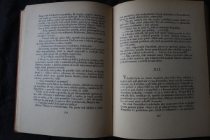 náhled knihy - 
