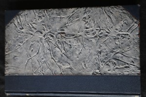 náhled knihy - O činech Alexandra Velikého, krále macedonského