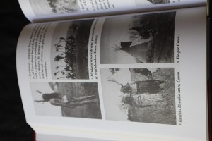 náhled knihy - 