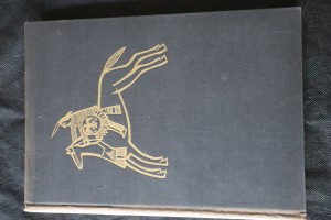 náhled knihy - Pláč ptáka Bouřliváka