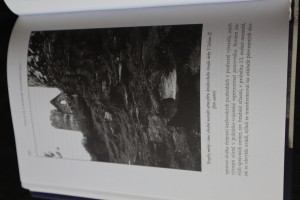 náhled knihy - 