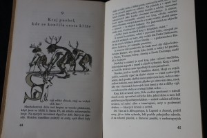 náhled knihy - 