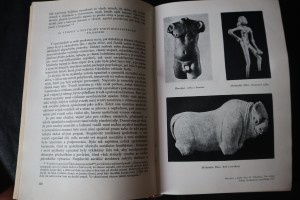 náhled knihy - 