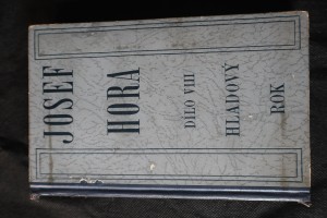 náhled knihy - Hladový rok : příběh města