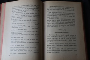 náhled knihy - 
