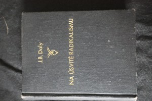 náhled knihy - Na úsvitě radikalismu