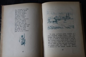 náhled knihy - 