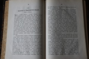 náhled knihy - 