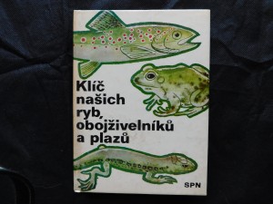 náhled knihy - Klíč našich ryb, obojživelníků a plazů : pomocná kniha k učebnicím zoologie všeobec. vzdělávacích, stř., odb. a vys. škol