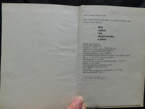 náhled knihy - 