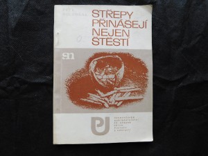 náhled knihy - Střepy přinášejí nejen štěstí