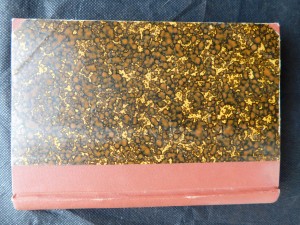 náhled knihy - Rusové nad Indií : obrázky a črty z válečného života na Pamiru