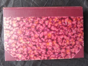 náhled knihy - Obrazy z dějin ruských