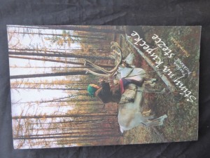 náhled knihy - Stíny na kupecké stezce