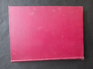 náhled knihy - Rasputin : mnich zločinec