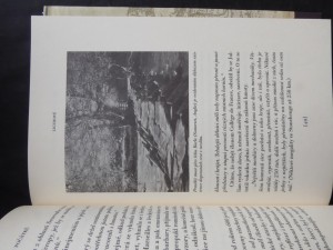 náhled knihy - 