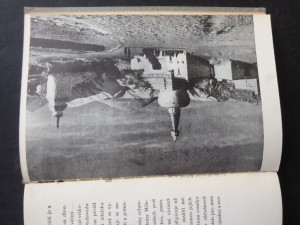 náhled knihy - 