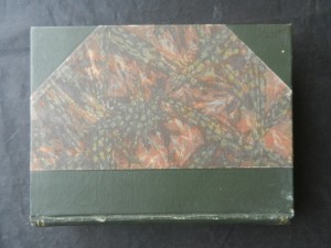 náhled knihy - Cesta revoluce : československé legie v Rusku