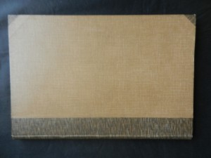 náhled knihy - Popravy na Staroměstském náměstí 21. června 1621