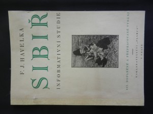náhled knihy - Sibiř : informativní studie