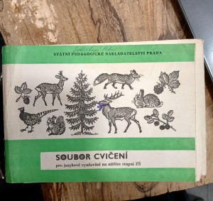 náhled knihy - Soubor cvičení pro jazykové vyučování na nižším stupni ZŠ [základní školy]