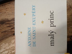 náhled knihy - 