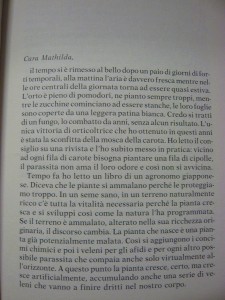 náhled knihy - 