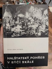 náhled knihy - Halštatský pohřeb v Býčí skále