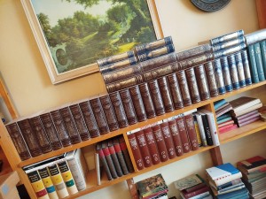 náhled knihy - Ottův slovník naučný : Ottův slovník naučný - Illustrovaná encyklopedie obecných vědomostí KOMPLET 40 svazků - 28 svazků + Dodatky 12 sv