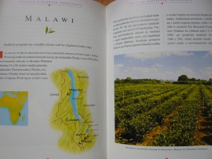 náhled knihy - 