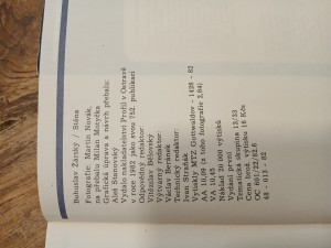 náhled knihy - 