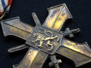 náhled knihy - 