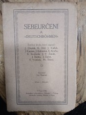 náhled knihy - Sebeurčení a Deutschböhmen