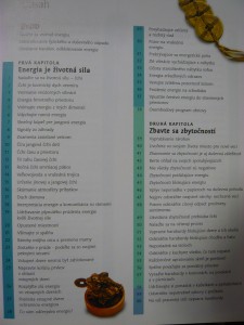 náhled knihy - 
