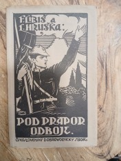 náhled knihy - Pod prapor odboje : [V řadách Československého dobrovolnického sboru v Italii]
