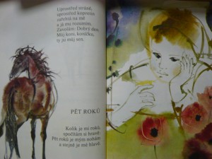 náhled knihy - 