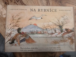 náhled knihy - Na rybníce : pro předškolní věk