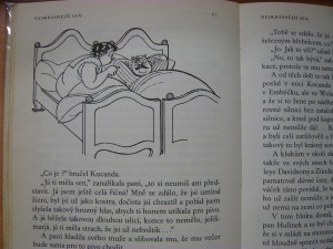 náhled knihy - 