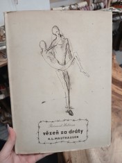 náhled knihy - Vězeň za dráty : K.L. Mauthausen