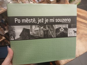 náhled knihy - Po městě, jež je mi souzeno : brněnská zákoutí v poezii