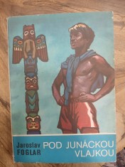 náhled knihy - Pod junáckou vlajkou