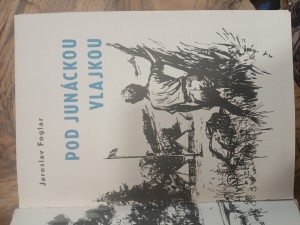 náhled knihy - 