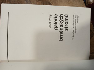 náhled knihy - 