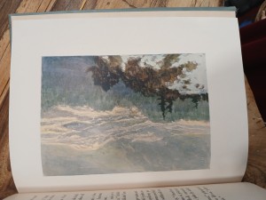 náhled knihy - 
