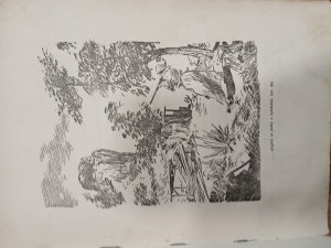 náhled knihy - 