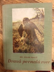 náhled knihy - Dravá pernatá zver