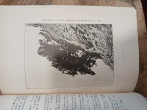 náhled knihy - 