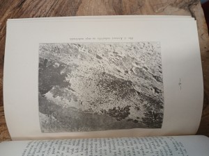 náhled knihy - 