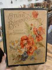 náhled knihy - Atlas botanický : (dle soustavy Linnéovy)