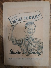 náhled knihy - Mezi junáky : příručka vedoucím i rádcům pro první kroky v junáctví
